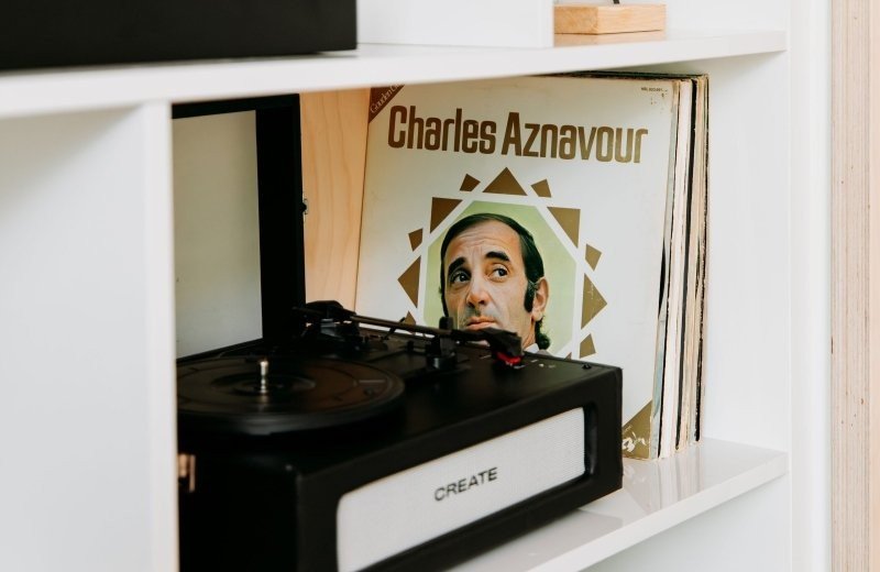 10 boshuislepavot 66