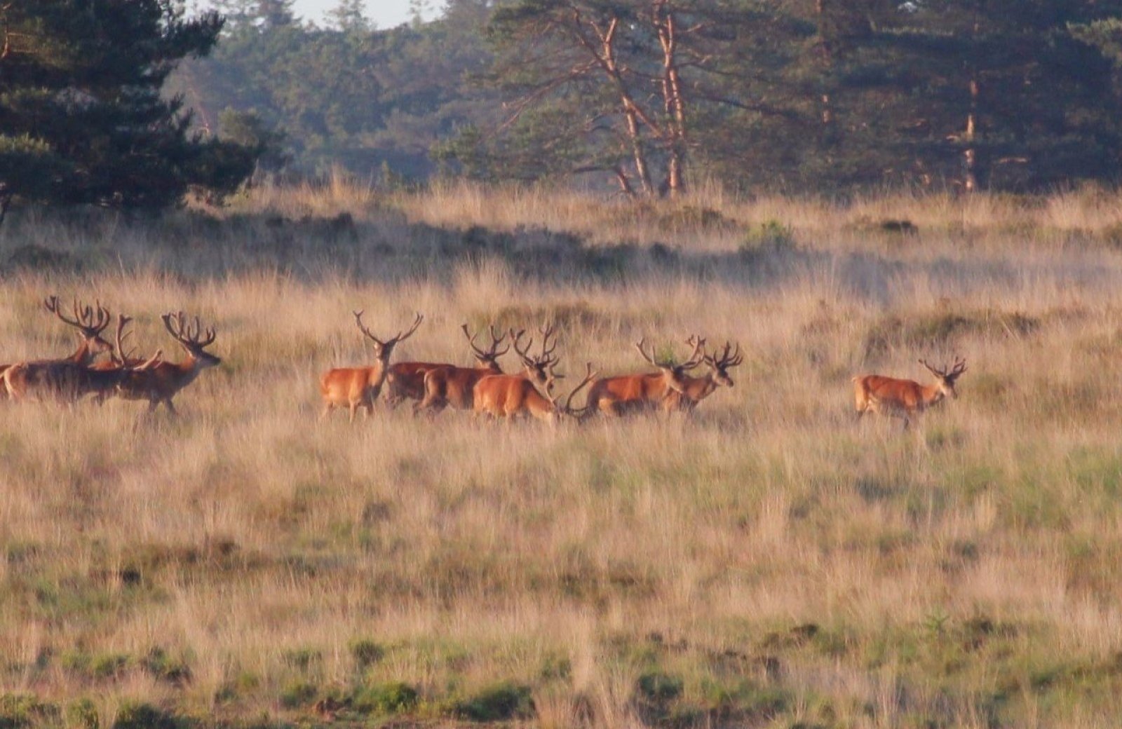 Platte foto zoek en boek 6707d5be7c7b8