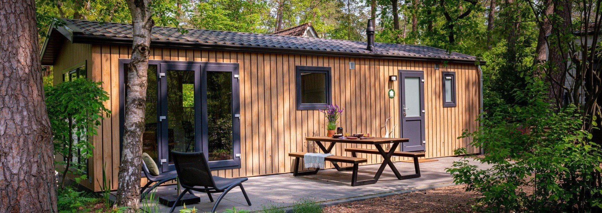 Steltloper1 67cb07a370822