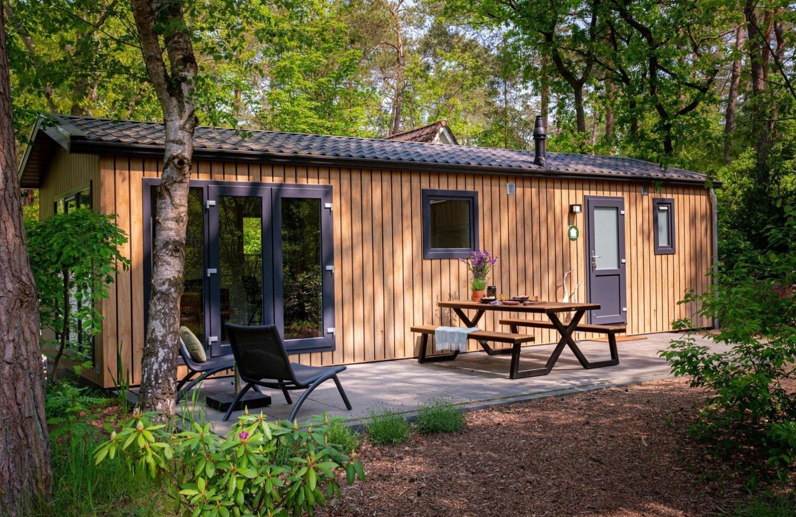 Steltloper1 67cb07f22bab6