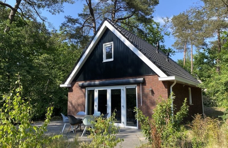 Vosje op de Veluwe