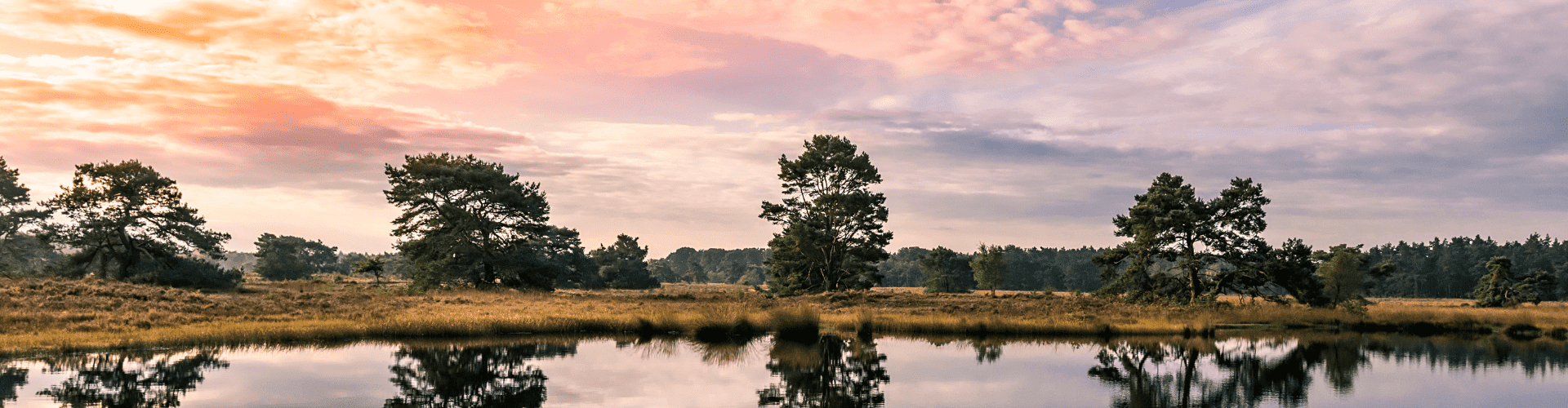 Veluwe roze zonsondergang