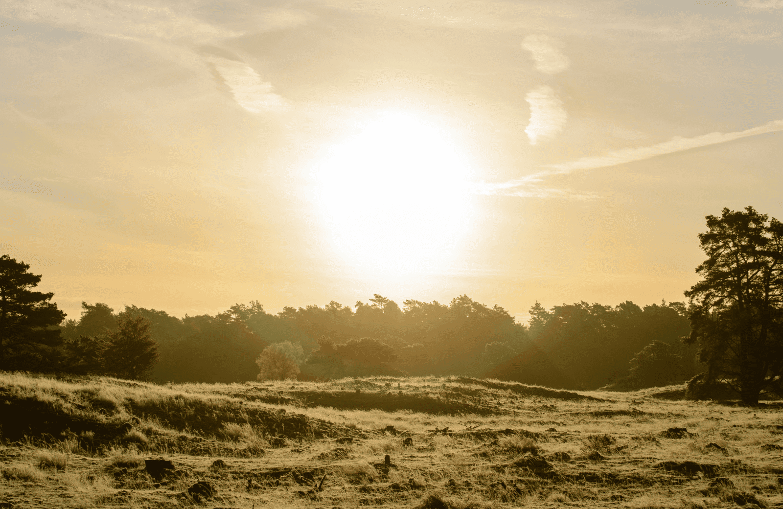 Veluwe zonsondergang mobiel