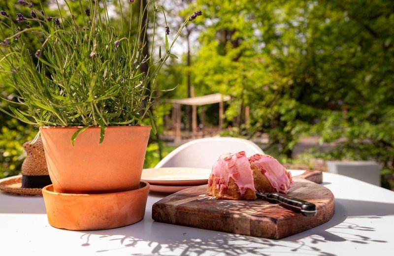 Whereshegoesxreebokdamhert35 64be2760a858a